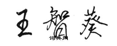 駱恆光王智葵行書個性簽名怎么寫