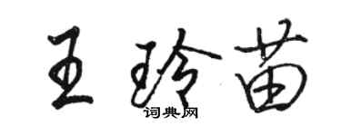 駱恆光王玲苗行書個性簽名怎么寫