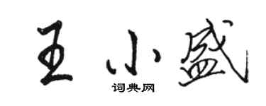 駱恆光王小盛行書個性簽名怎么寫