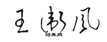 駱恆光王衛風草書個性簽名怎么寫