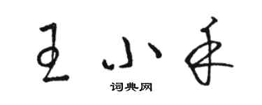 駱恆光王小禾草書個性簽名怎么寫