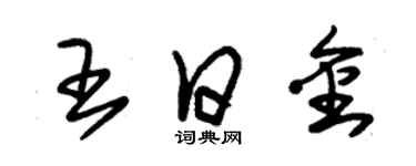 朱錫榮王日金草書個性簽名怎么寫