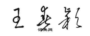 駱恆光王春穎草書個性簽名怎么寫