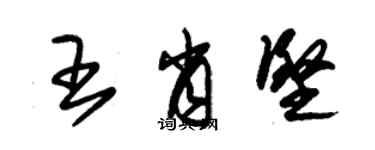 朱錫榮王肖堅草書個性簽名怎么寫