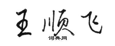 駱恆光王順飛行書個性簽名怎么寫