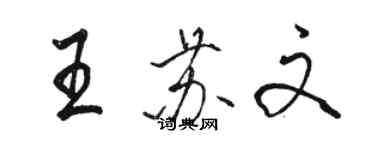 駱恆光王蘇文行書個性簽名怎么寫