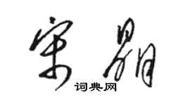 駱恆光宋晶草書個性簽名怎么寫