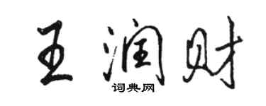 駱恆光王潤財行書個性簽名怎么寫