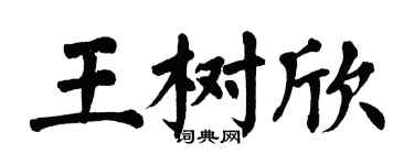 翁闓運王樹欣楷書個性簽名怎么寫