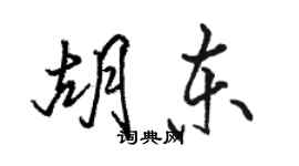 駱恆光胡東行書個性簽名怎么寫