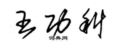 朱錫榮王功科草書個性簽名怎么寫