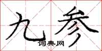 龐中華九參楷書怎么寫