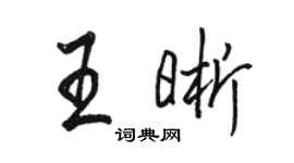 駱恆光王晰行書個性簽名怎么寫