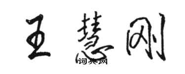 駱恆光王慧剛行書個性簽名怎么寫