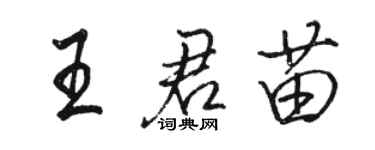 駱恆光王君苗行書個性簽名怎么寫