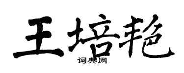 翁闓運王培艷楷書個性簽名怎么寫