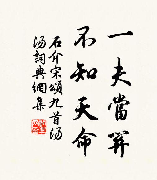 乘時各有適，皞皞齊康莊 詩詞名句