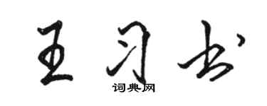 駱恆光王習書行書個性簽名怎么寫