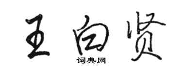 駱恆光王白賢行書個性簽名怎么寫