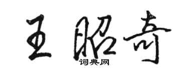 駱恆光王昭奇行書個性簽名怎么寫