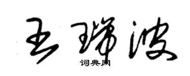 朱錫榮王瑞波草書個性簽名怎么寫