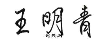 駱恆光王明青行書個性簽名怎么寫