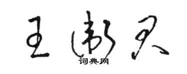 駱恆光王衛君草書個性簽名怎么寫