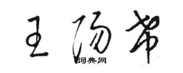 駱恆光王陽希草書個性簽名怎么寫