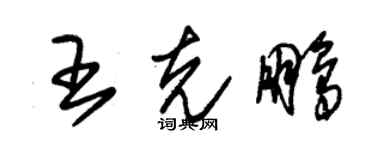 朱錫榮王克鵬草書個性簽名怎么寫