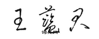 駱恆光王藍君草書個性簽名怎么寫