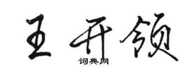 駱恆光王開領行書個性簽名怎么寫