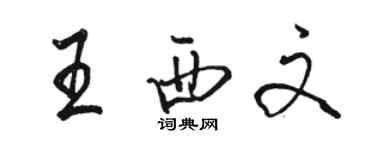 駱恆光王西文行書個性簽名怎么寫