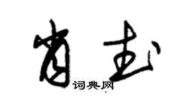 朱錫榮肖武草書個性簽名怎么寫