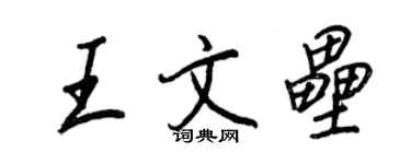 王正良王文壘行書個性簽名怎么寫