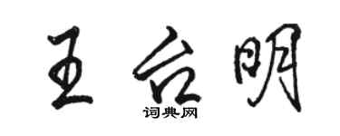 駱恆光王台明行書個性簽名怎么寫