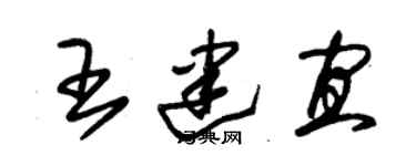 朱錫榮王建宜草書個性簽名怎么寫