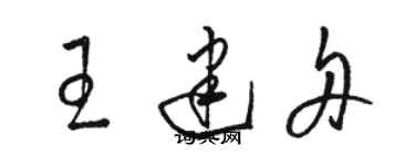 駱恆光王建舟草書個性簽名怎么寫