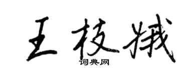 王正良王枝娥行書個性簽名怎么寫