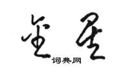 駱恆光金星草書個性簽名怎么寫