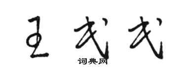 駱恆光王民民草書個性簽名怎么寫