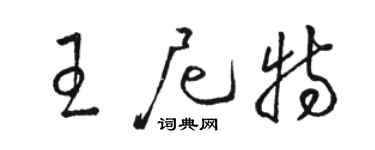 駱恆光王尼特草書個性簽名怎么寫
