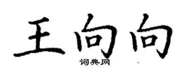 丁謙王向向楷書個性簽名怎么寫