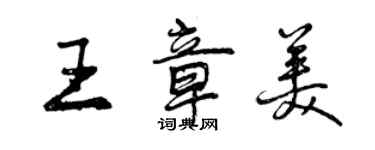 曾慶福王章美行書個性簽名怎么寫