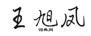 駱恆光王旭鳳行書個性簽名怎么寫