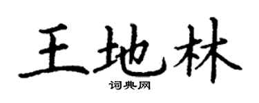 丁謙王地林楷書個性簽名怎么寫
