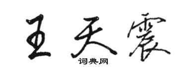 駱恆光王天震行書個性簽名怎么寫