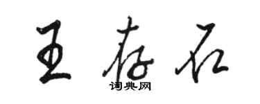 駱恆光王存石行書個性簽名怎么寫