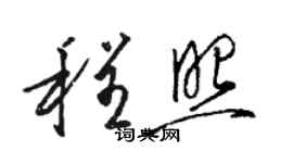 駱恆光程照草書個性簽名怎么寫