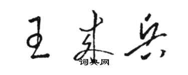 駱恆光王來兵草書個性簽名怎么寫