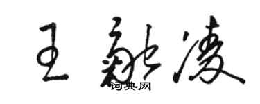 駱恆光王融凌草書個性簽名怎么寫